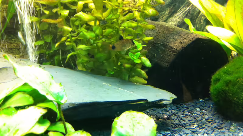 Schierferplatte von Björn Heuer (7)