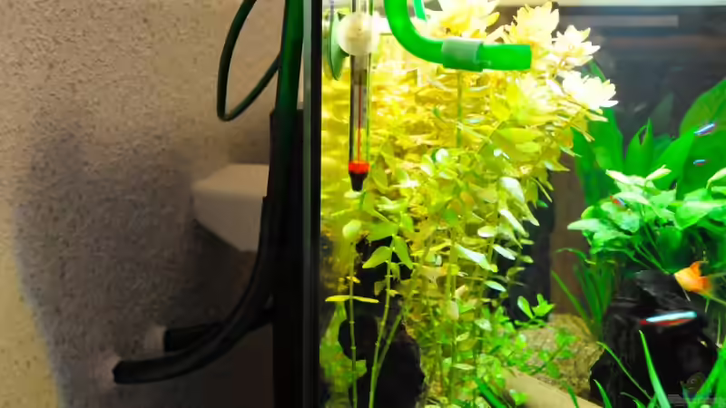 Schlauchverbindung durch die Wand... von Micha 86 (3)