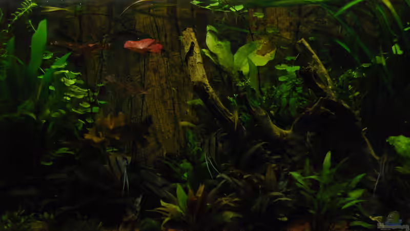 Schlechtes Wetter in Manaus Stand 26.10.2014 von Holsch805 (3)