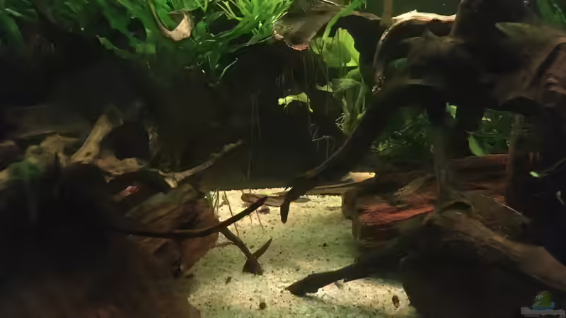 Schlucht angedeutet  von Ottche (7)