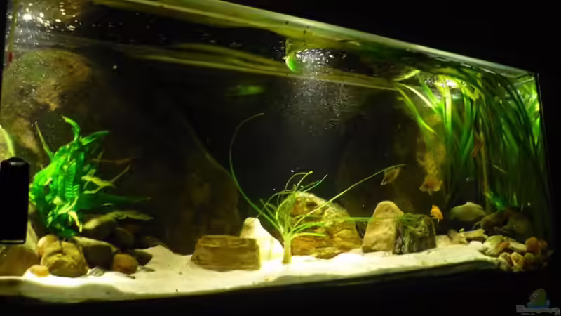 Schlummerbeleuchtung von Chris_R. (5)