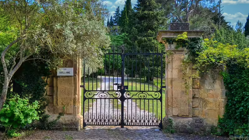 Schmiedeeisen: Retro-Design für den Garten - Wie ein zeitloses Material den Außenbereich aufwertet