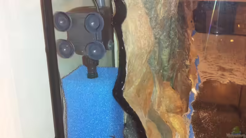 Schmutzwasser Kammer #1 von Andy Weiss (6)