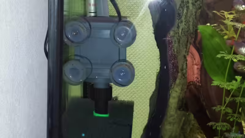 Schmutzwasserkammer mit Pumpe, Grob-Filter und Heizstab von Andy Weiss (21)