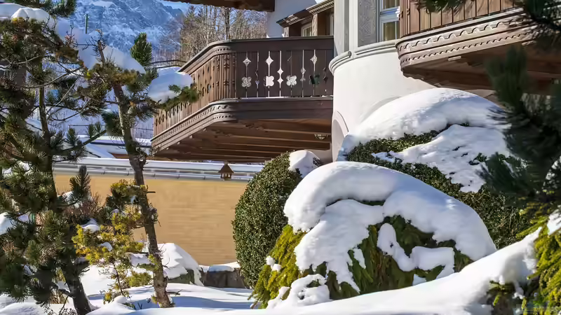 Schneebruch im Garten - Ursachen, Schäden, Vorbeugung und richtige Maßnahmen