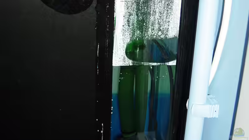 Schnellfilter rechts im Becken. von Romain Gansen (8)