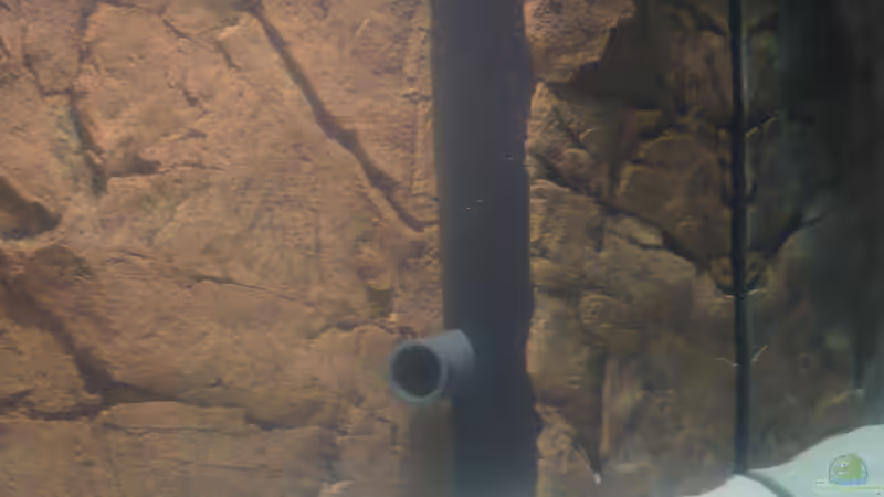 Schnellfilter von Der Dortmunder (5)