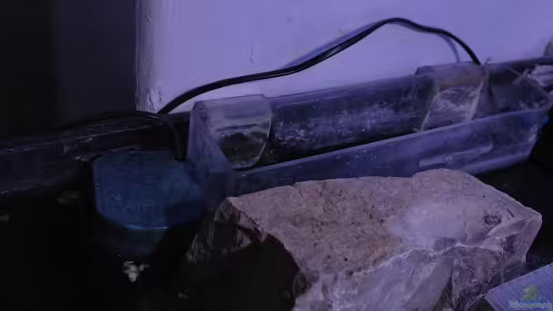 Schnellfilter von Simon Delgardo (15)