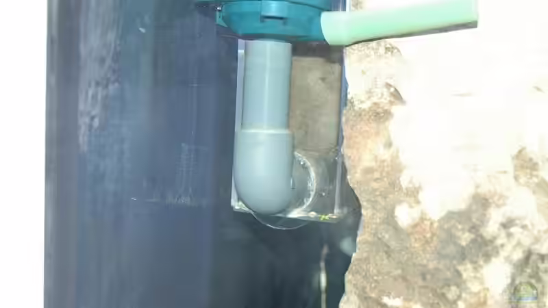 Schnellfilter von Simon Delgardo (16)