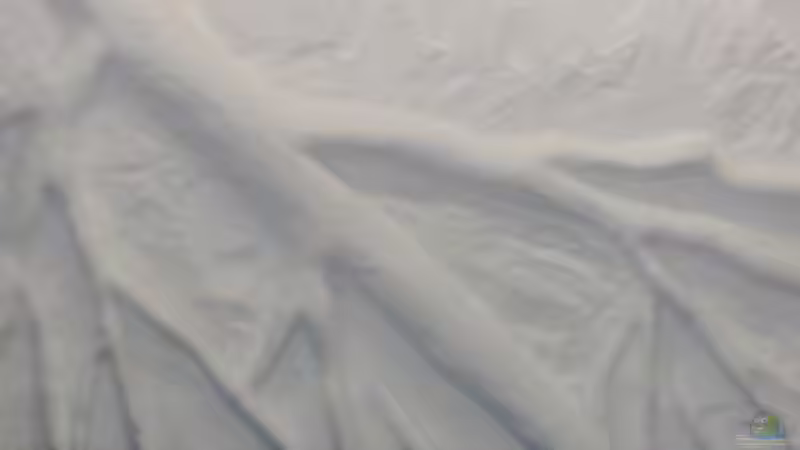 schnitzen von Kai Stephanides (5)