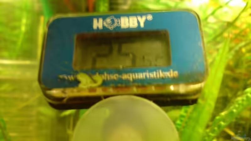 schön 25,5 Grad  von ThomasS. (15)