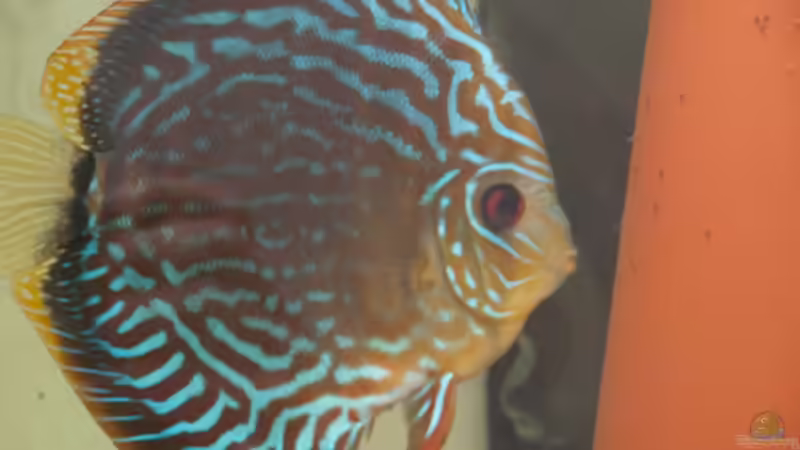 schön auf die Kleinen achten  von peaches (52)