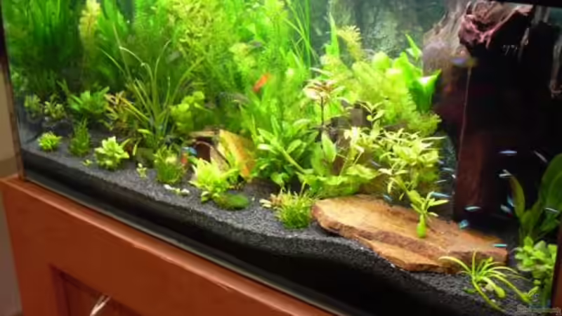 schön grün von Sado-Uwe (20)