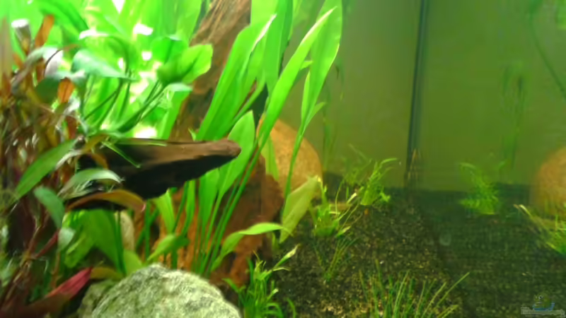 Schöne Aussicht von DerChrischi (2)