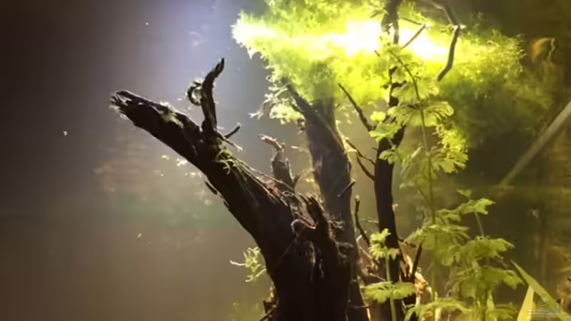 schöne Stimmung an der Wasseroberfläche von Tarmina (11)