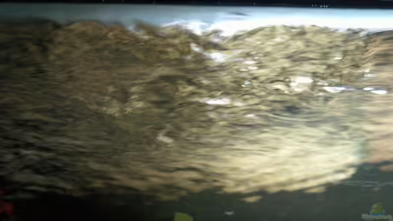 Schöne Strömung von mikael38 (25)