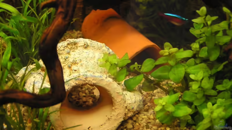 schöne Verstecke! von froxxs (7)