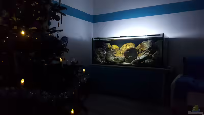 Schöne weihnachten  von Mel (29)