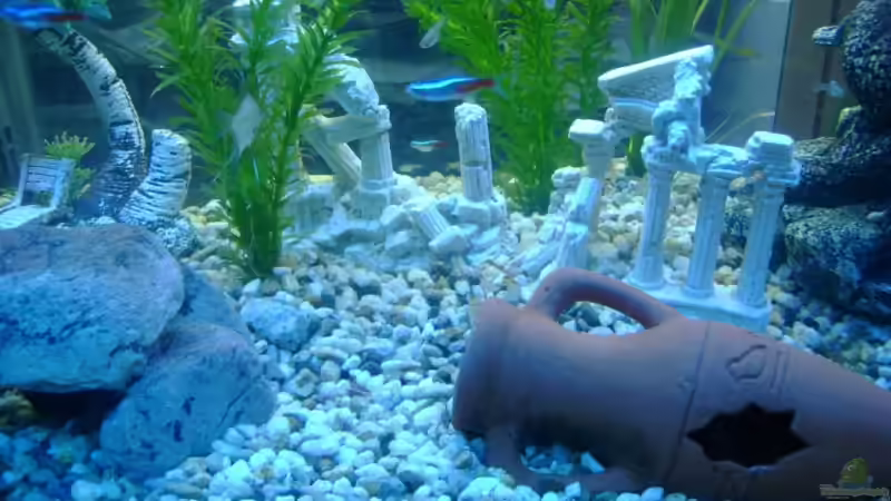 Schöner Kontrast (Vorne Aqua Blue und hinten Weiße Beleuchtung) von Robert Bratzik (6)