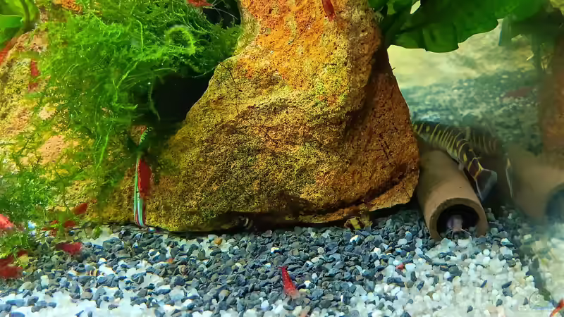 schon besetzt??? von odin 68 (35)