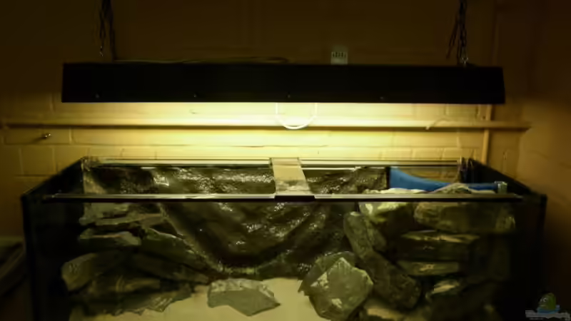 Schon besser ;-) Jetzt fehlen noch Schneckenhäuser, Pflanzen und Wasser von Julien Preuß (39)