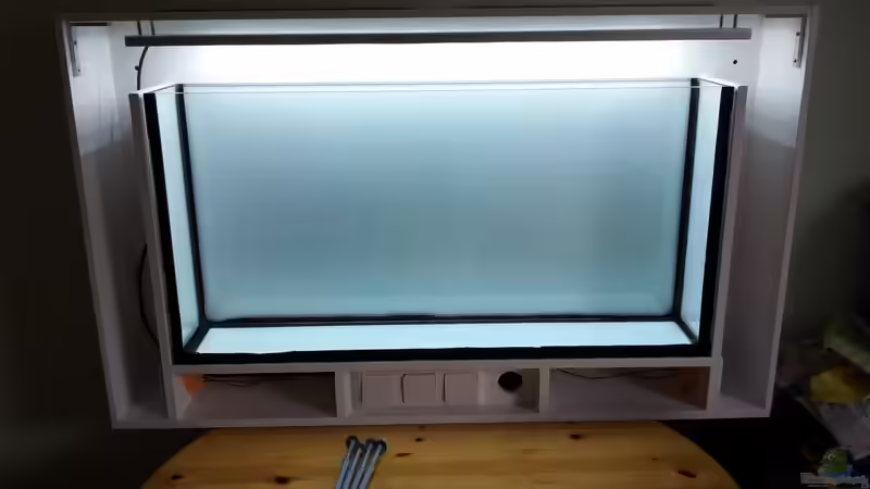 Schon fast an der Wand... von The BugZ (13)