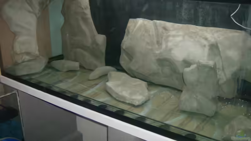 schon mal reingestellt von Ronny Laumer (7)