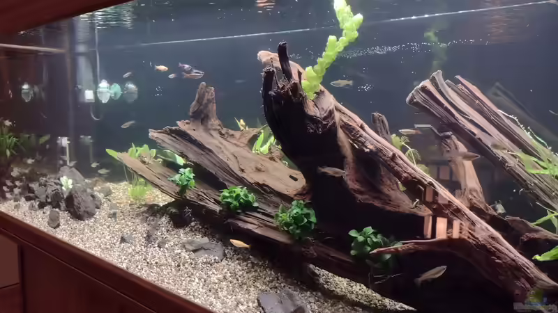 Schräg fotografiert am 14.10.2021 von C-NA (6)