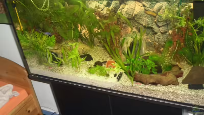 schräg oben rechts von Andre Schumacher (2)