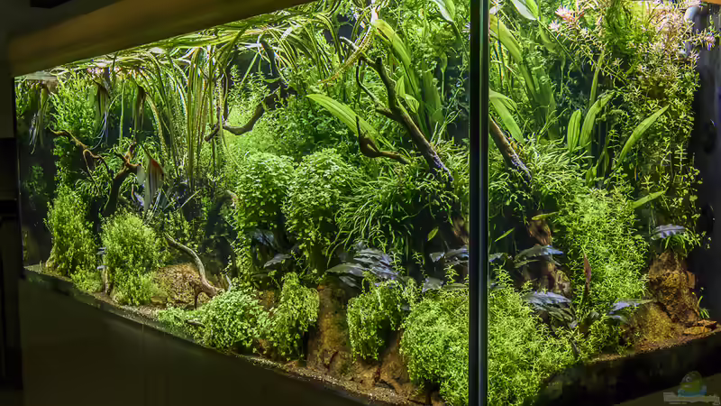 schräg rechte Ansicht von JARB (9)