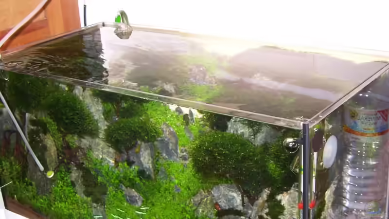 Schräg von der Seite von Fredo Fuss (2)