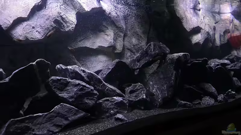 schräg von links von DaKo77 (7)