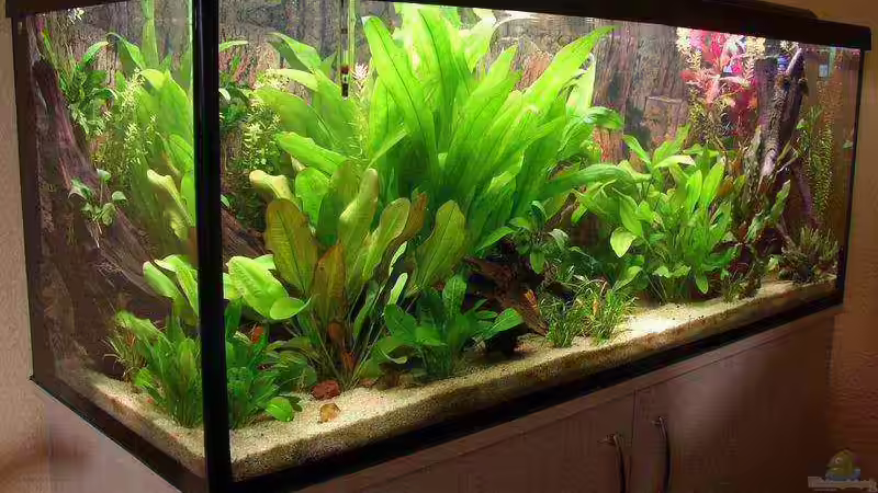 Schräg von Links von Jan Kersten (2)