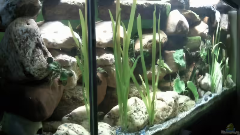 schräg von links von mikael38 (5)