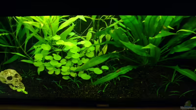 schräg von oben von CommanderKeen (6)