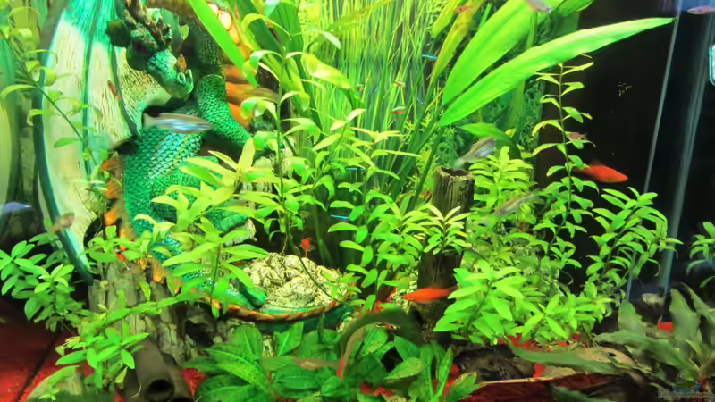 Schräg von oben von Hobbl (4)