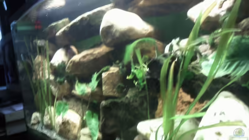 Schräg von rechts (mit mühe weil es an der Wand steht) von mikael38 (7)