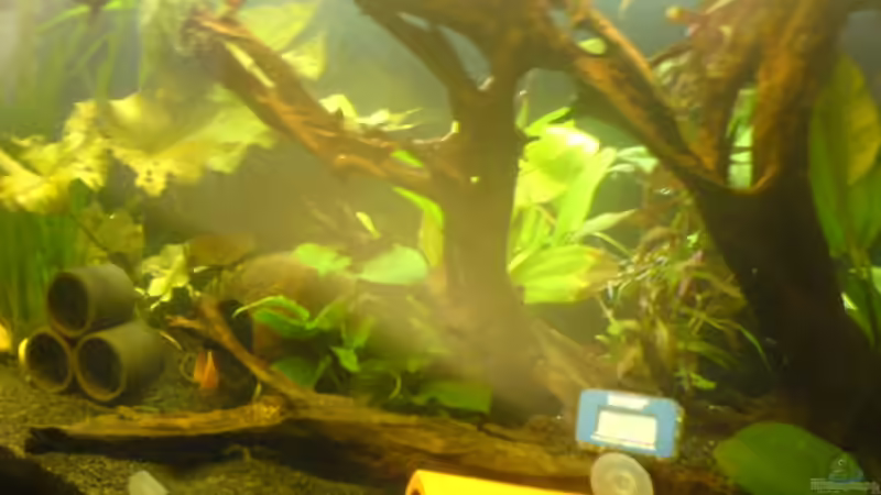 schräg von rechts von Ady (2)