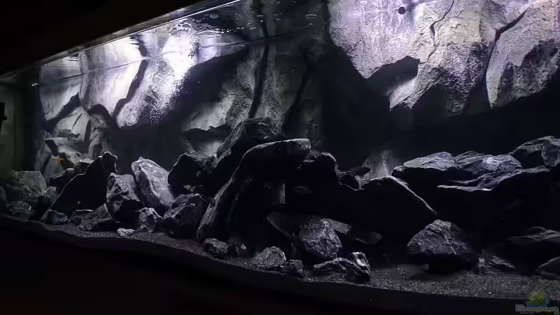 schräg von Rechts von DaKo77 (5)