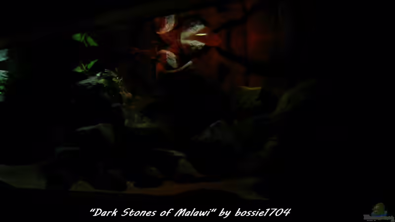 Schrägansicht Morgenrot von bossie1704 (16)