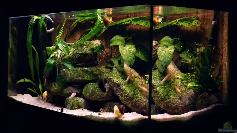 Schrägansicht vom 05.11.2009 von Jonas H (1)