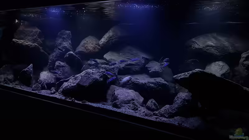 Schrägansicht von Gernot (2)