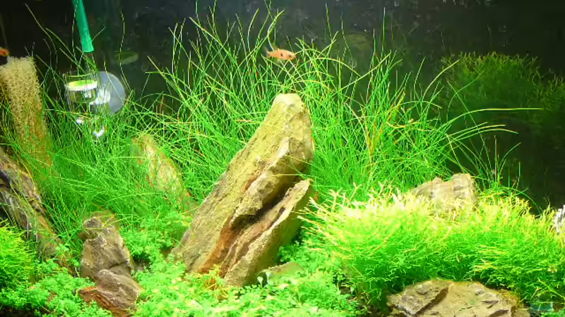 Schrägansicht von Lukas Forster (2)