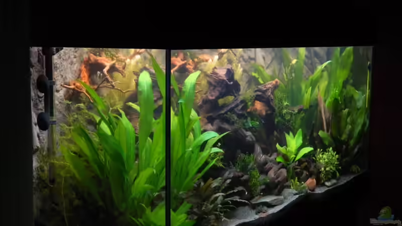 Schrägansicht von Nick3 (3)