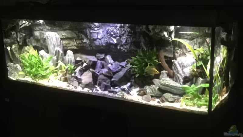 Schrägansicht von Steffi66 (12)