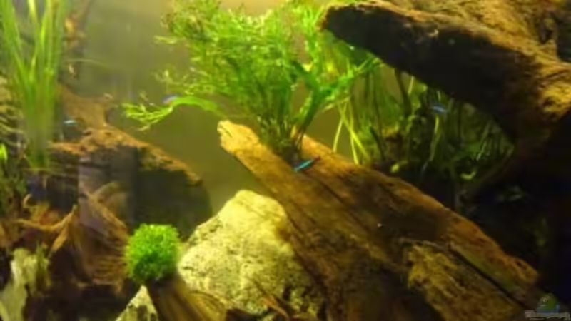 Schrägansicht von Thorsten G. (15)