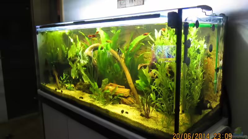 Schrägaufnahme von Ottche (59)