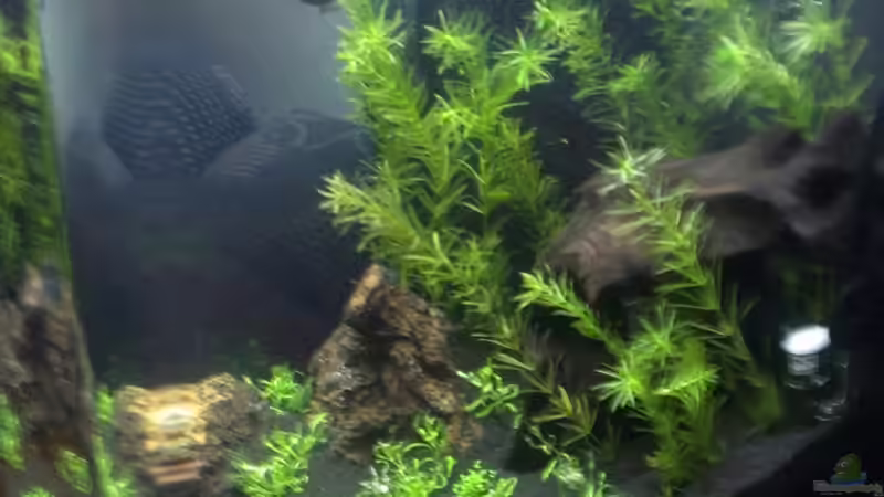 schräge Ansicht 12.10.12 von M to the ilan (8)