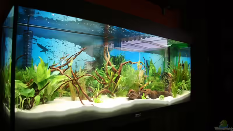 schräge Gesamtansicht von Hunterkoile (3)