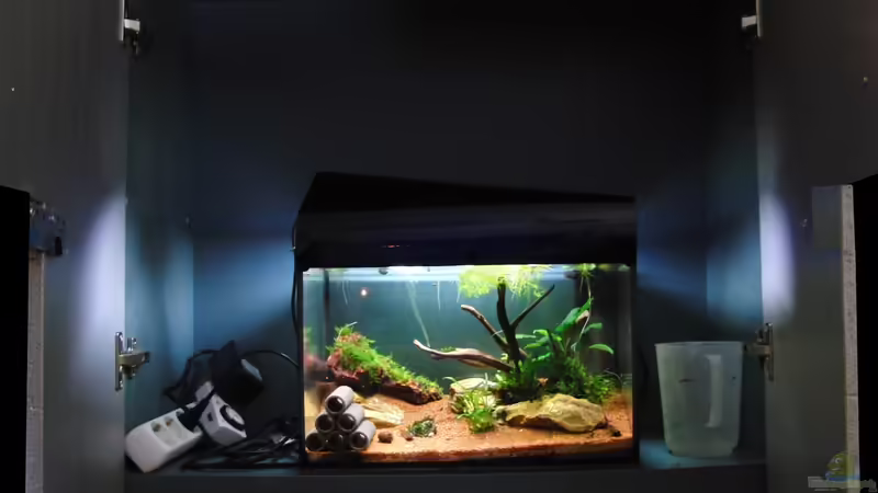 Schrank innen von Dario (3)